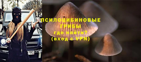 стафф Белоозёрский