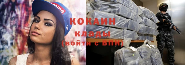 дмт Новозыбков