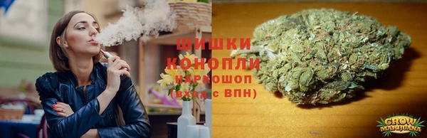 дмт Новозыбков