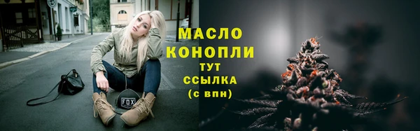 дмт Новозыбков