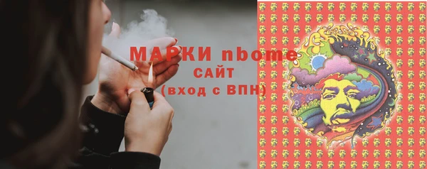 дмт Новозыбков