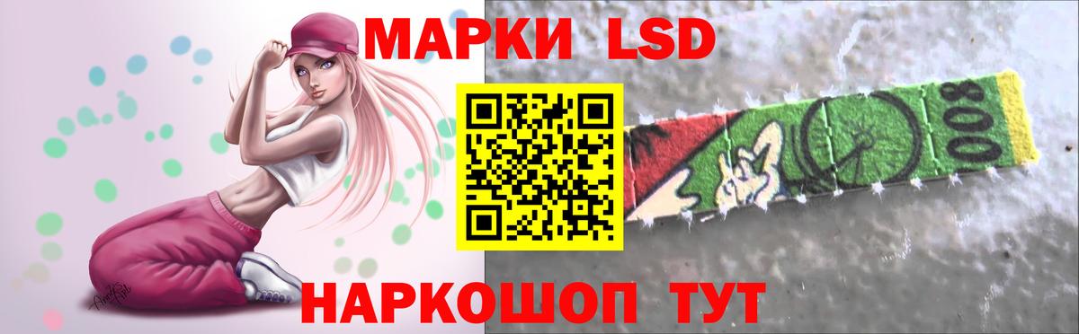 Альфа ПВП Кашира