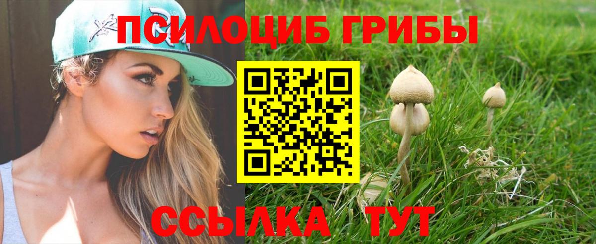 Гашиш  Кашира  Диски  Мяу-Мяу  25-NBOMe  МЕФ  Вход с VPN  COCAIN  Альфа ПВП  Канабис 
