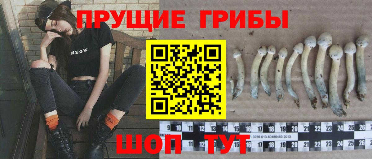 Псилоцибиновые грибы Cubensis  Кашира 