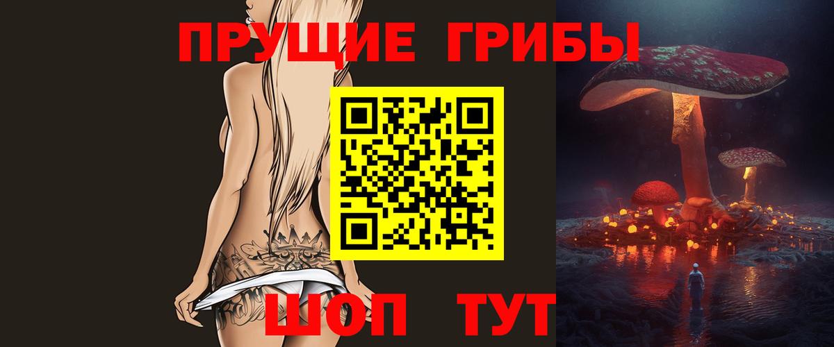 Галлюциногенные грибы Cubensis Кашира
